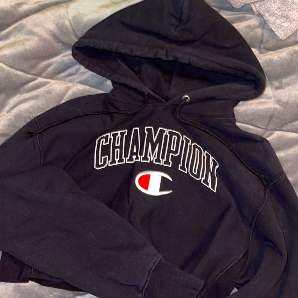 Small cropped champion hoodie